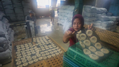 Pembiayaan UMKM BPR BPRS Sudah Tembus 50,07%, Tapi Persaingan Makin Berat