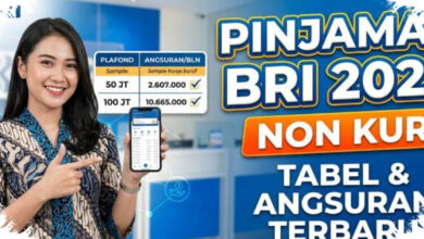 Angsuran Non-KUR BRI Bisa Seperti Ini, Cicilan Rp5 Juta Cuma Rp146 Ribu per Bulan