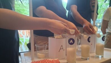 Rasa Aman Saat Memilih Susu Formula Datang Dari 5 Detail Ini, Bukan Merek Saja