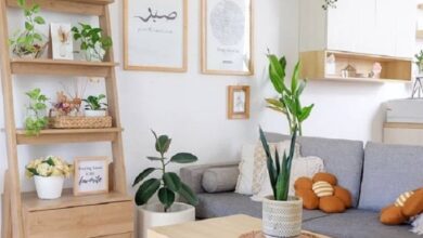 Rumah Lebih Segar Tanpa Repot, 5 Tanaman Indoor Ini Juga Bantu Redam Bau Tak Sedap