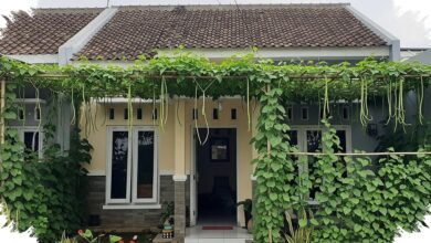 Kanopi Sayur Rambat Bikin Rumah Mungil Lebih Teduh, Ruang Tetap Lega untuk Dipakai Harian