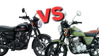 Suzuki Cool Biao 150 Atau Kawasaki W175 Street, Mana yang Lebih Pas Buat Harian dan Touring Santai