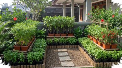 Kebun Sayur Depan Rumah Bisa Tetap Lapang, 9 Cara Ini Bikin Area Makin Sejuk dan Tertata