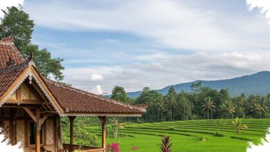 Jendela Jalusi Bikin Rumah Desa Lebih Sejuk, Terang, dan Tetap Punya Privasi