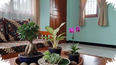 Ruang Tamu Sempit Tetap Segar, 8 Tanaman Hias Mini Ini Tak Makan Banyak Tempat